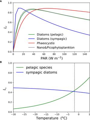 Potential impact of the sea-ice ecosystem to the polar seas biogeochemistry